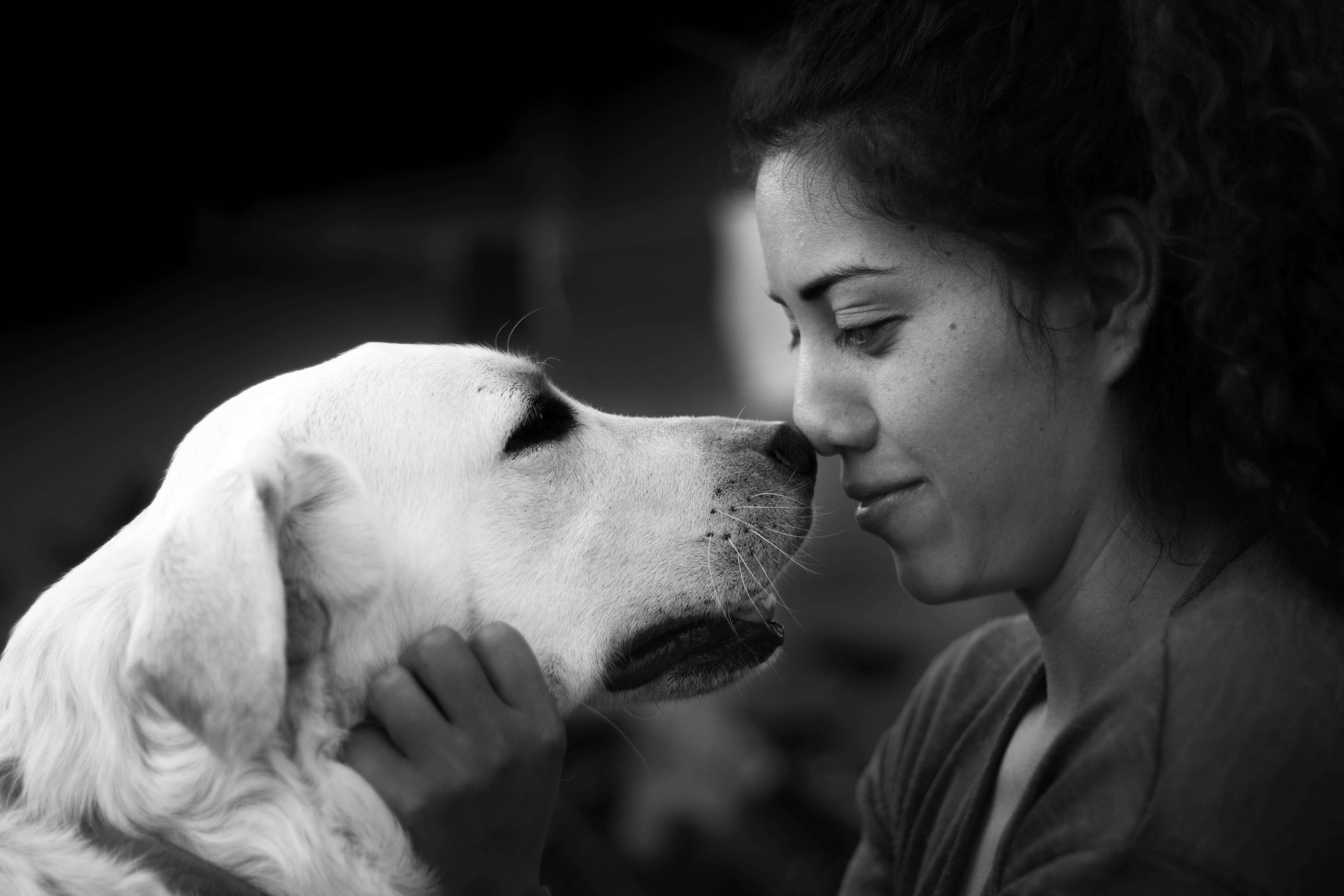 A woman and a dog