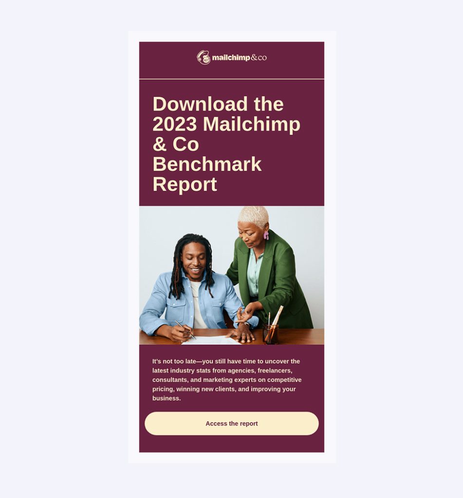 An example of a free resource email by Mailchimp
