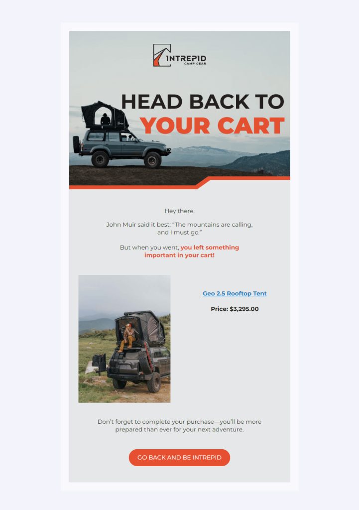 Screen presents an example of abandoned cart email