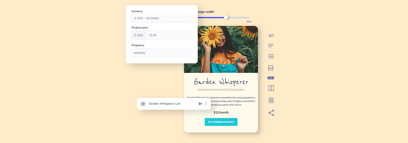 The main image presenting different elements of the paid newsletters feature