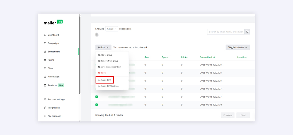 Screenshot from the MailerLite interface - contacts export