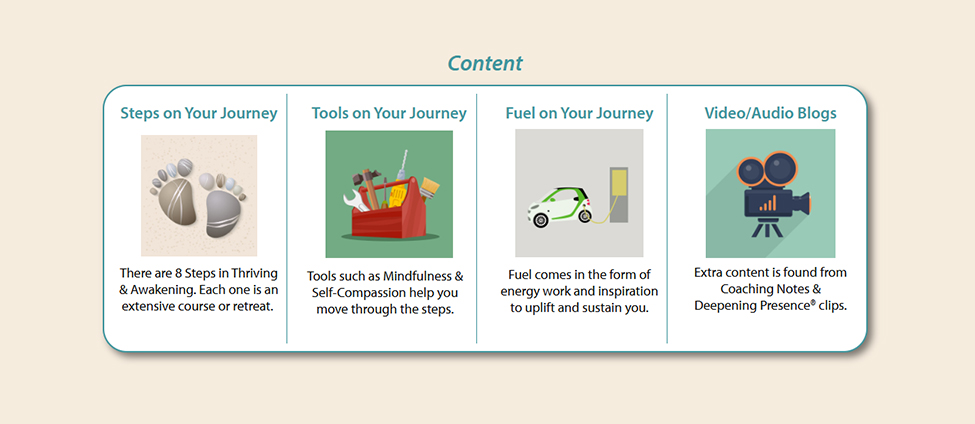 The main features of Thrive and Awaken content